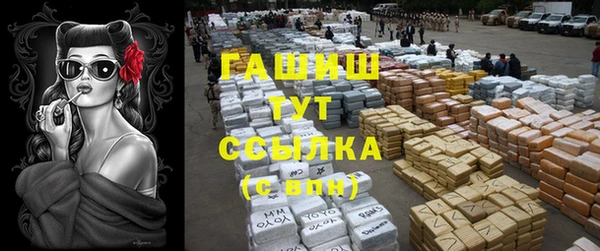 сатива Армянск