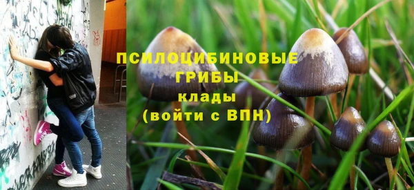 спиды Алексеевка
